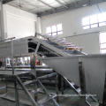 Factory Lemon sorting mahcine